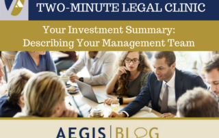 investment summary describing your management team aegis scott levine