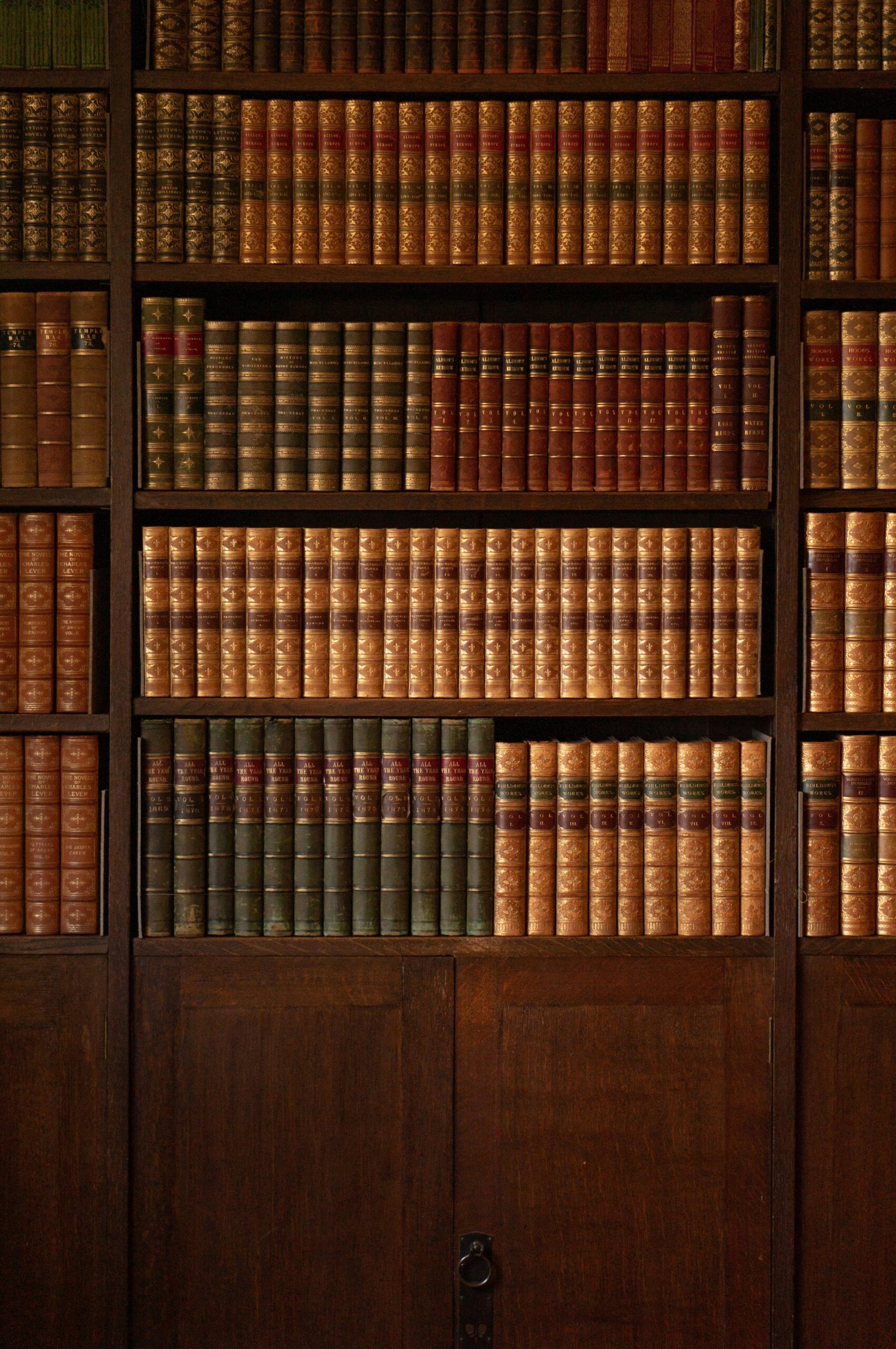 Rows of old leather-bound books on a dark wooden bookshelf in a library setting